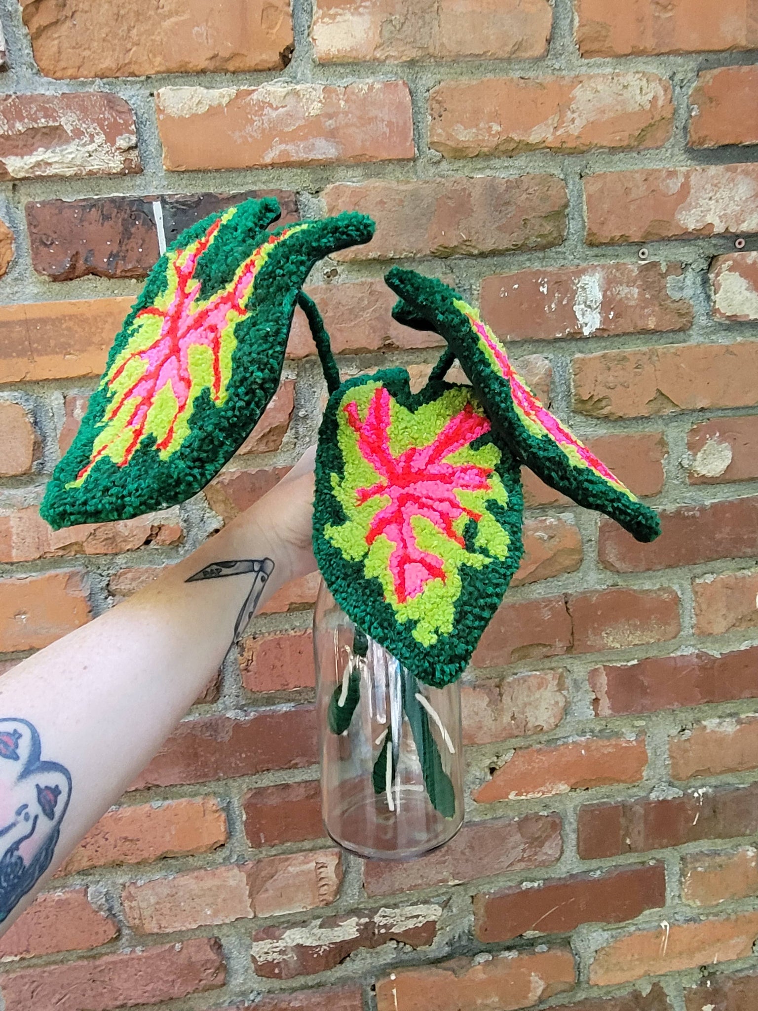 Tufted caladium leaf