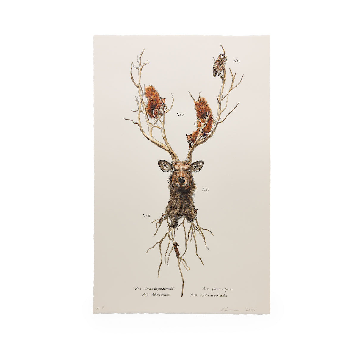 Deborah Simon, <i> Ecological Streams of Consciousness: Sika Deer Print </i> (2025)