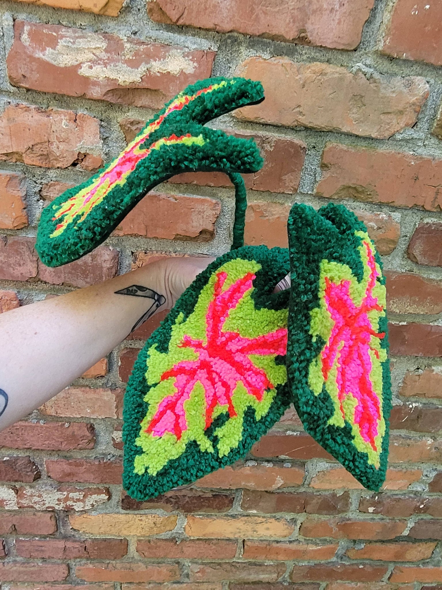 Tufted caladium leaf