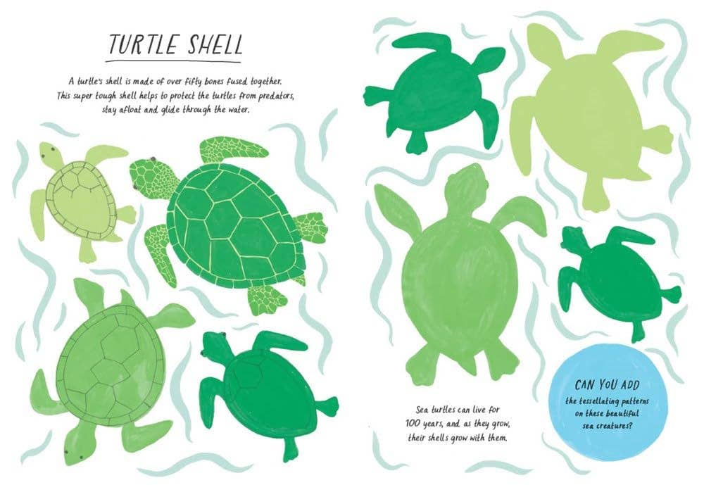 Patterns - Drawn by Nature Activity Book