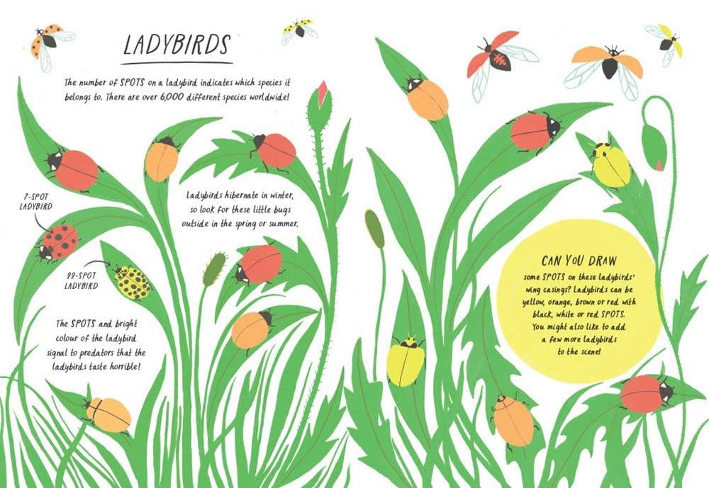 Patterns - Drawn by Nature Activity Book