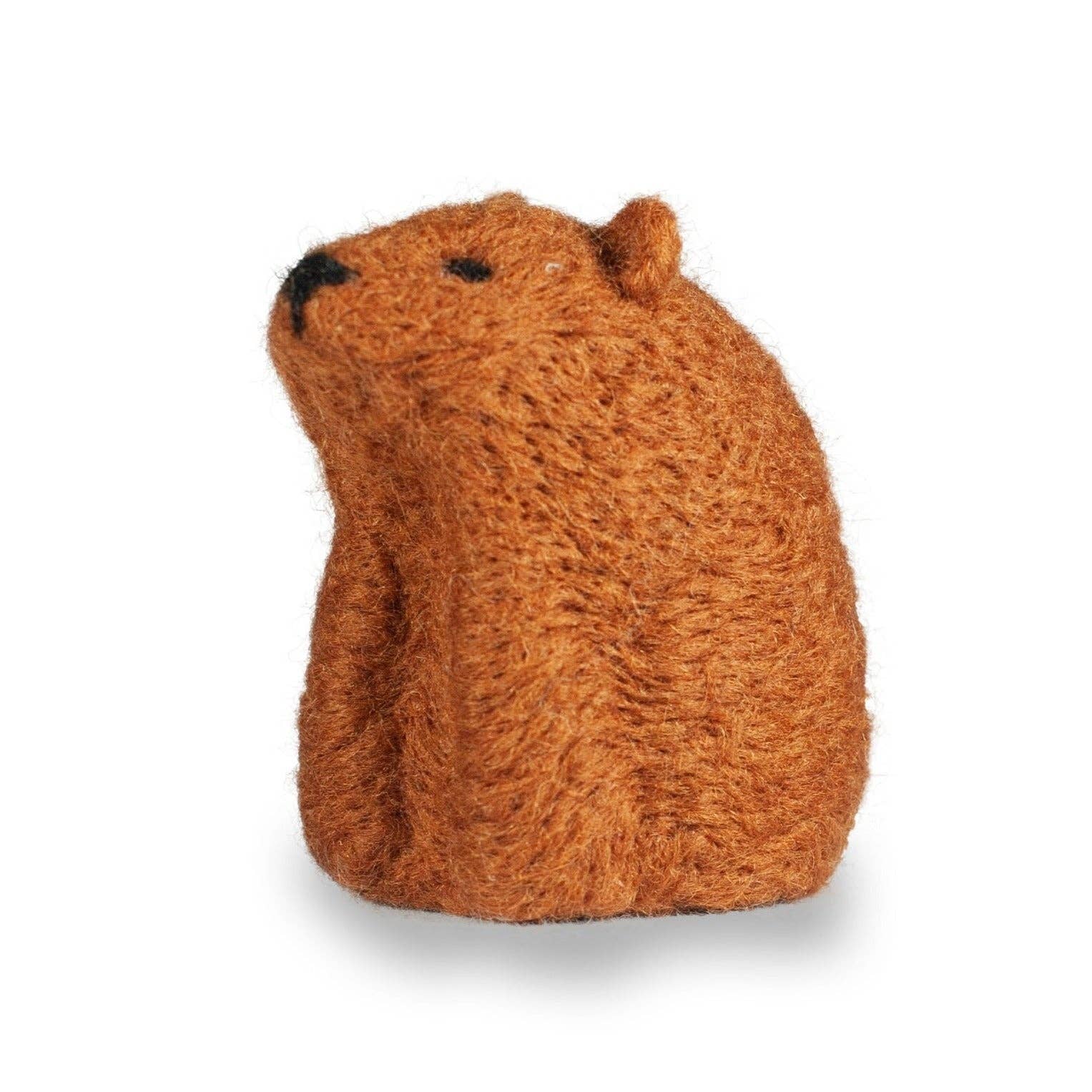 Bear Needle Felting Kit