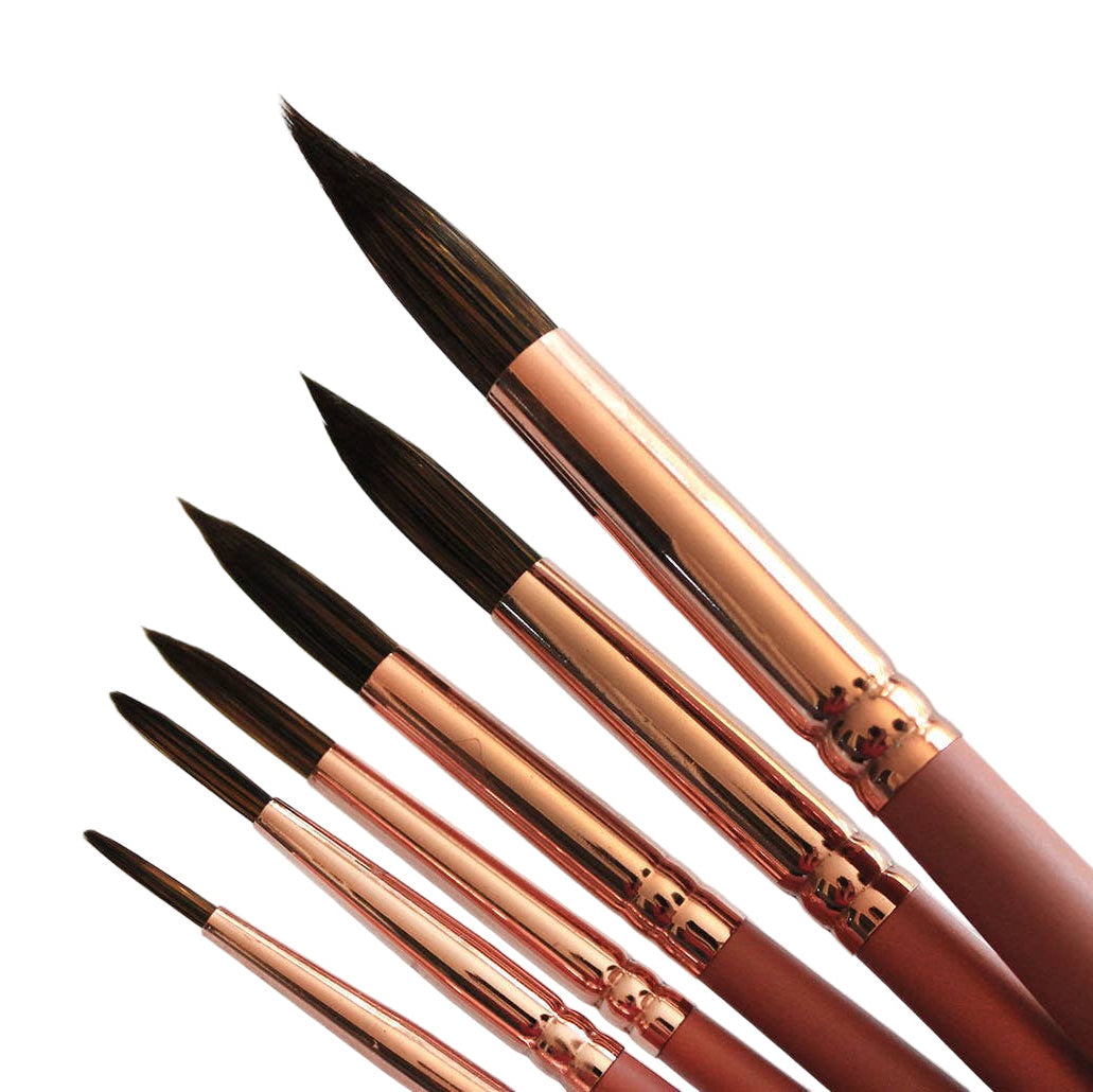 Premium Watercolor Brush Set