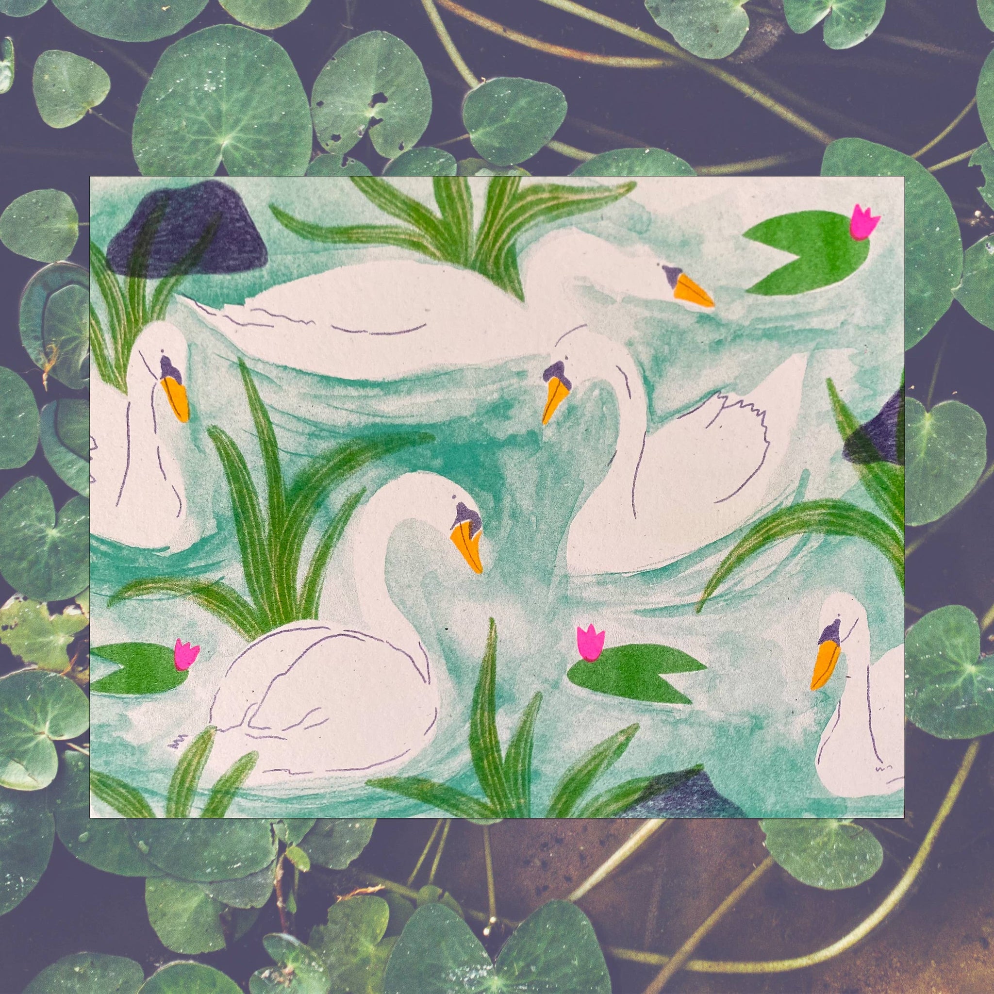 Swan Pond 5-Color Risograph Art Print on French Paper