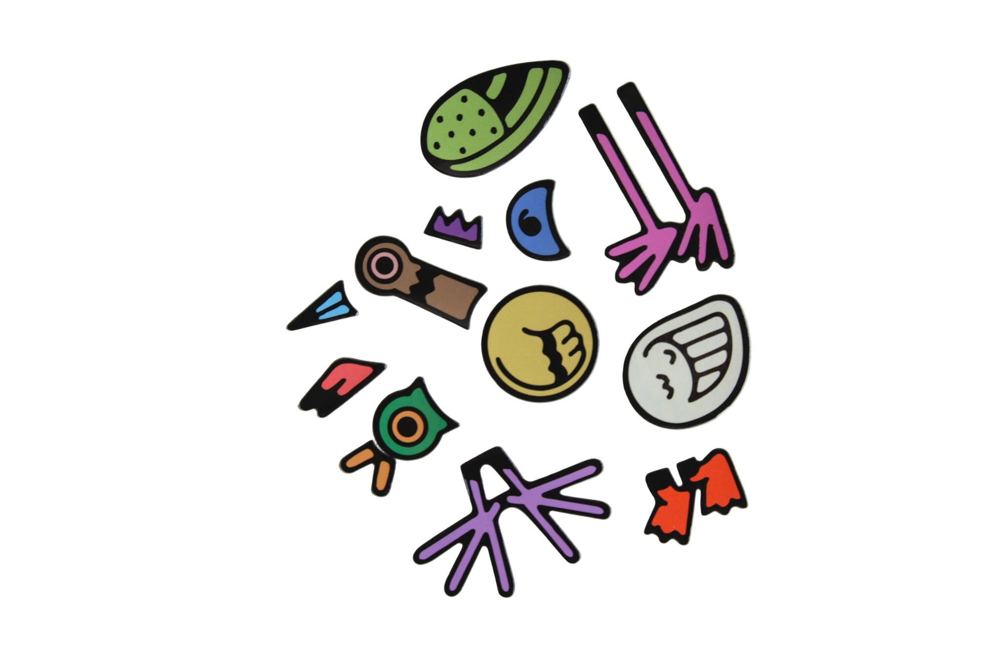 Build-a-Bird Magnet Set