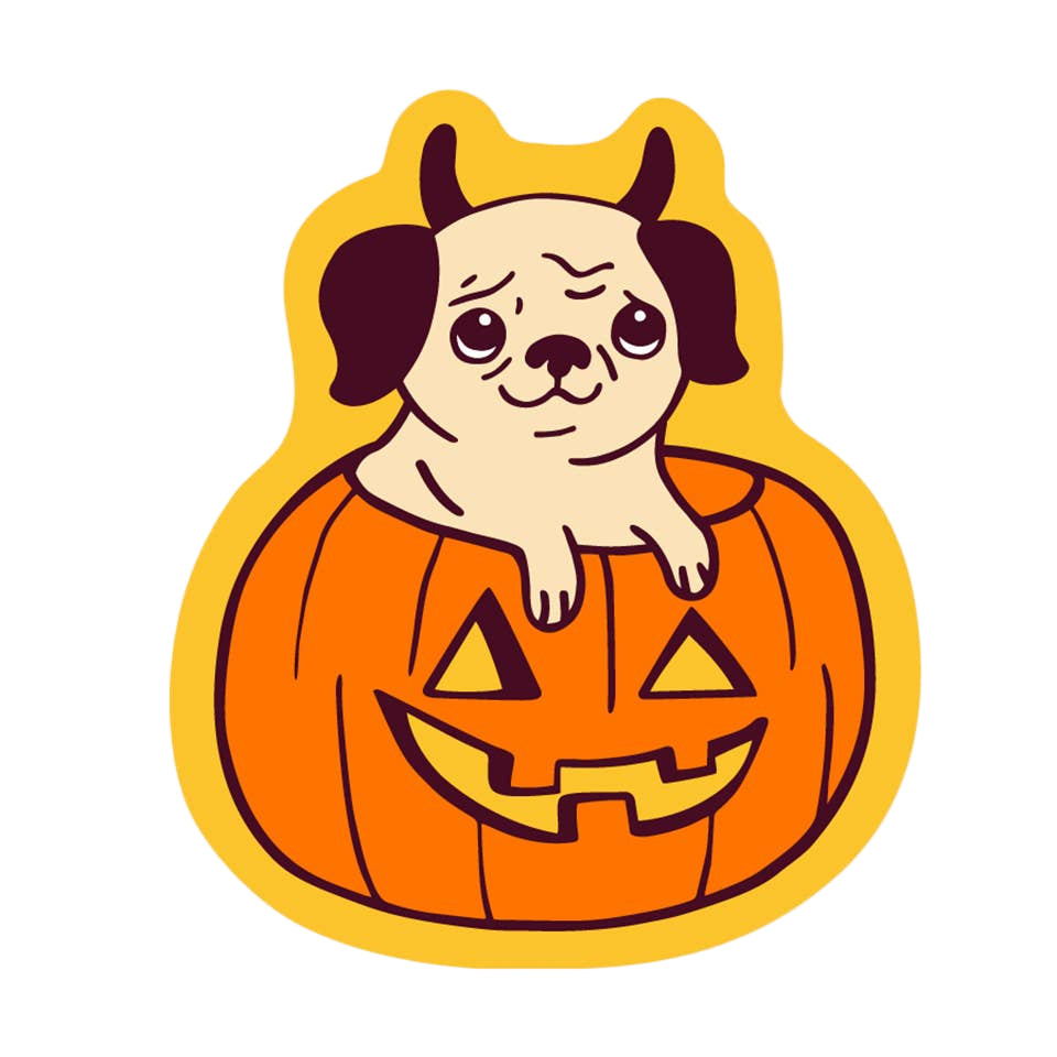 Pug in a Pumpkin Sticker