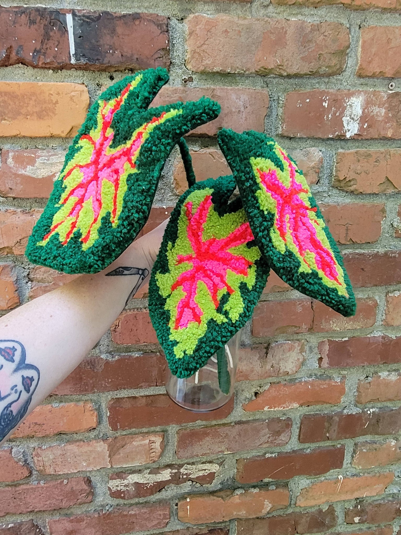 Tufted caladium leaf