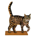 Danielle Klebes, Cat (2025)