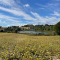 Tour the Dutchess Land Conservancy’s Bontecou Preserve
