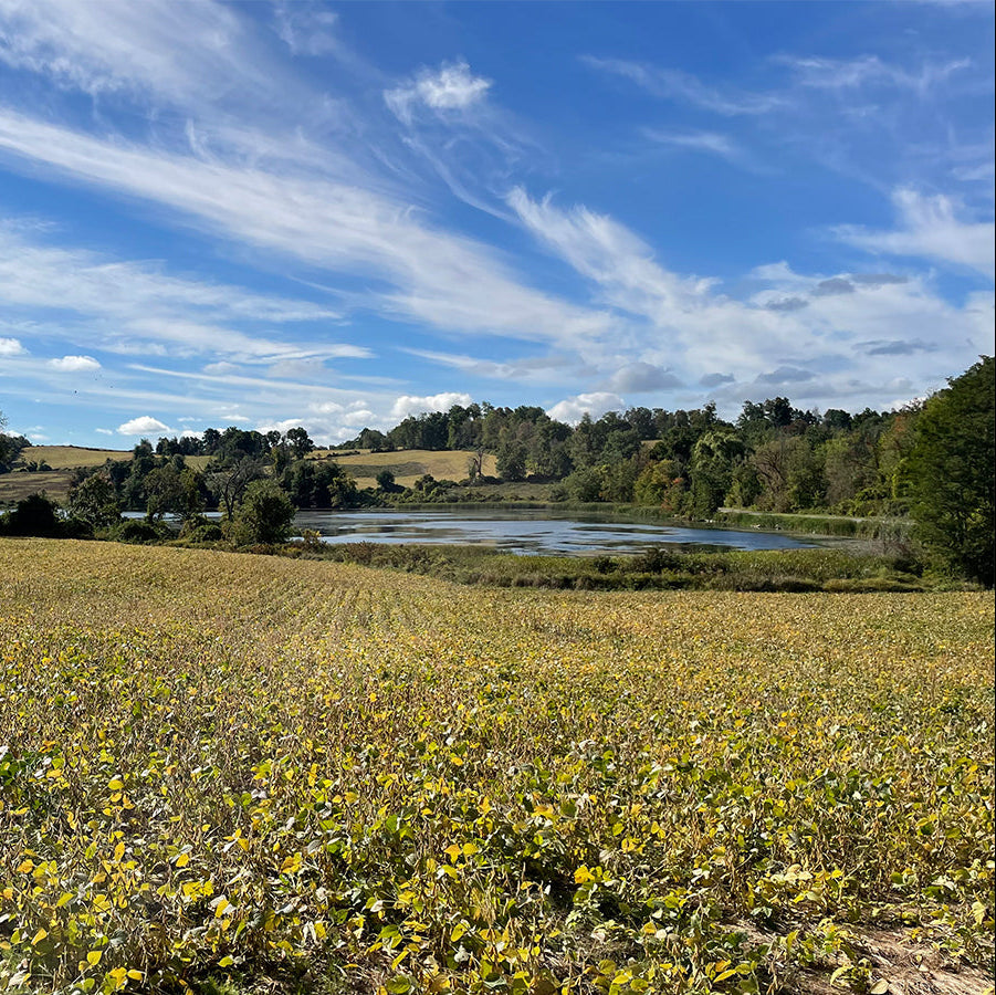 Tour the Dutchess Land Conservancy’s Bontecou Preserve