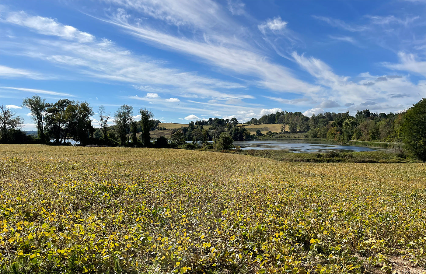 Tour of the Dutchess Land Conservancy's Bontecou Preserve