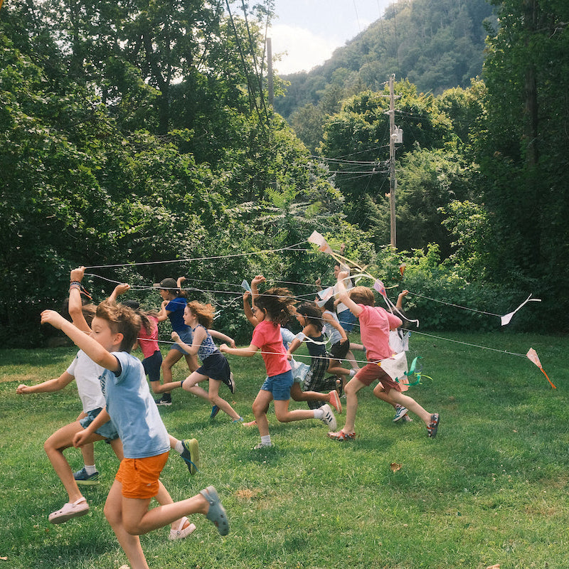 Sponsor Wassaic Project's Summer Camp