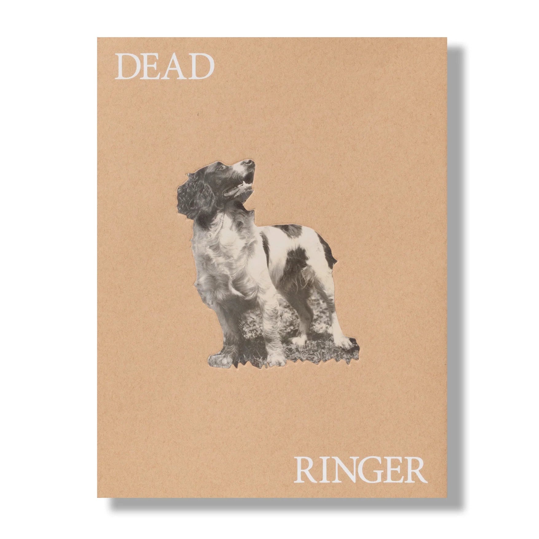 Dead Ringer
