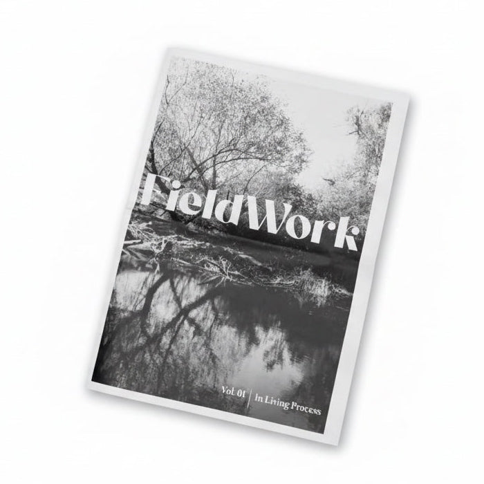 Fieldwork
