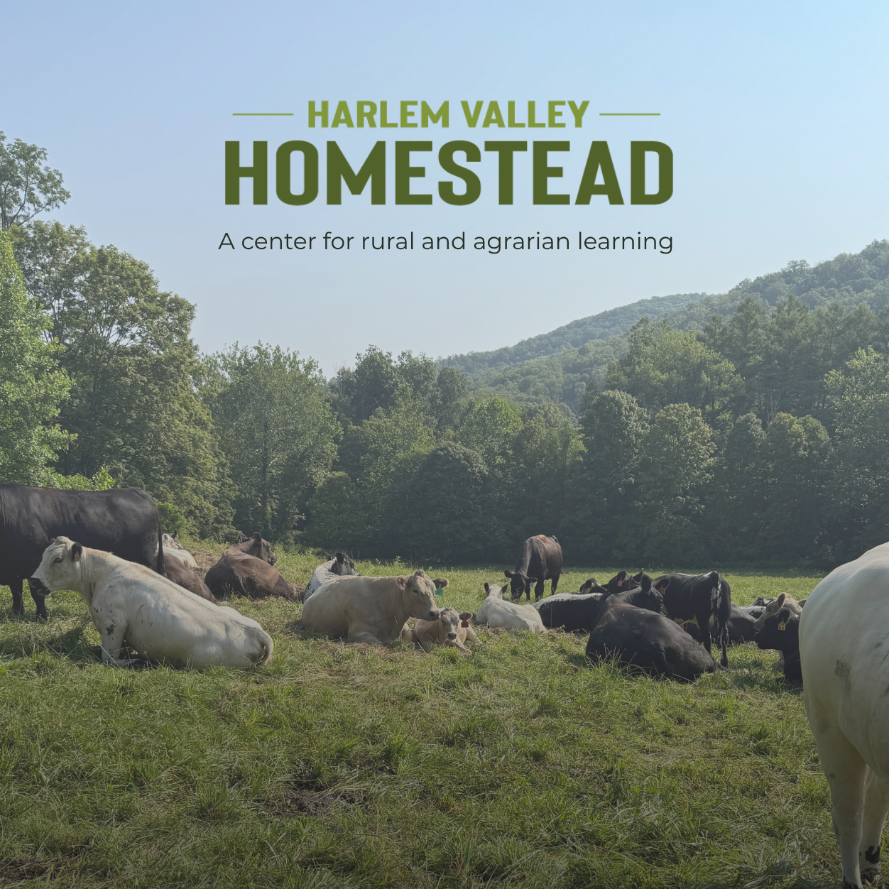 Harlem Valley Homestead Farm Box