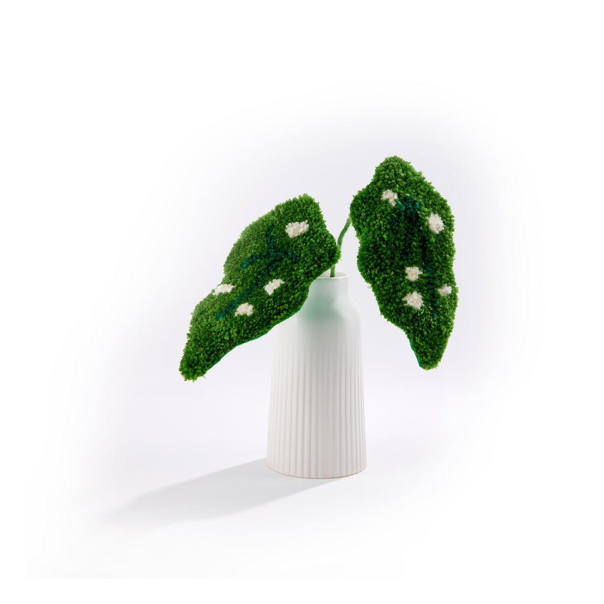 Tufted Polka Dot Begonia Plant