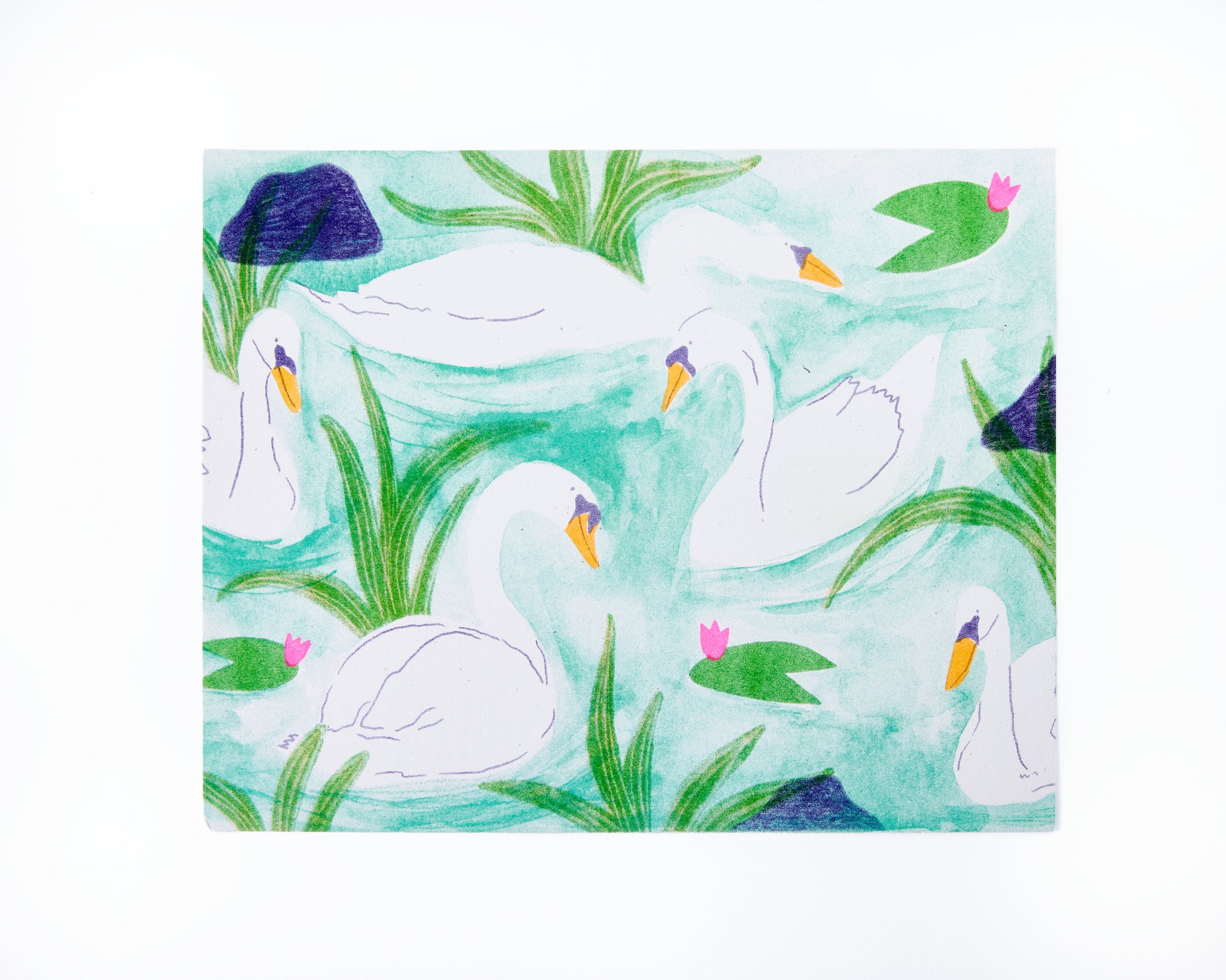 Swan Pond 5-Color Risograph Print