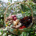 Maitri Farm: Summer Combo CSA