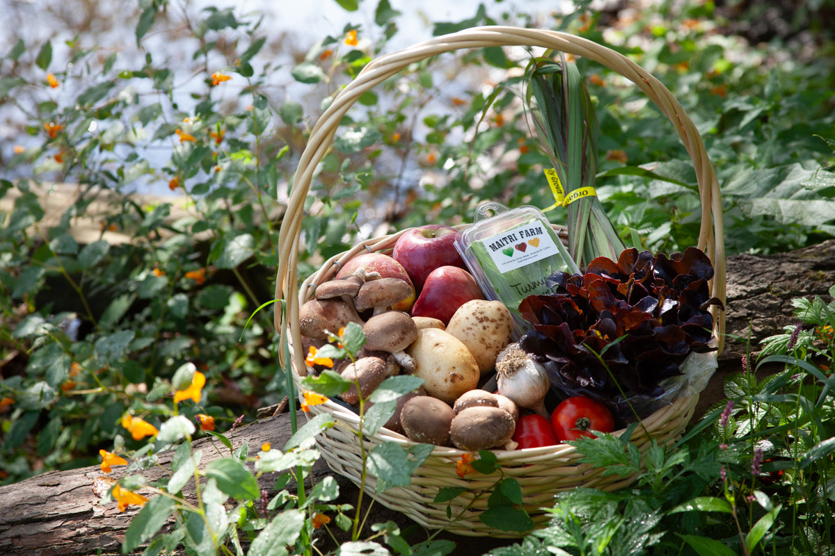 Maitri Farm: Summer Combo CSA