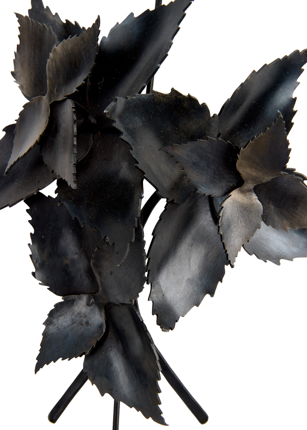 Margaret Jacobs, Bouquets for a New Era: Chicory and Mint (2024)