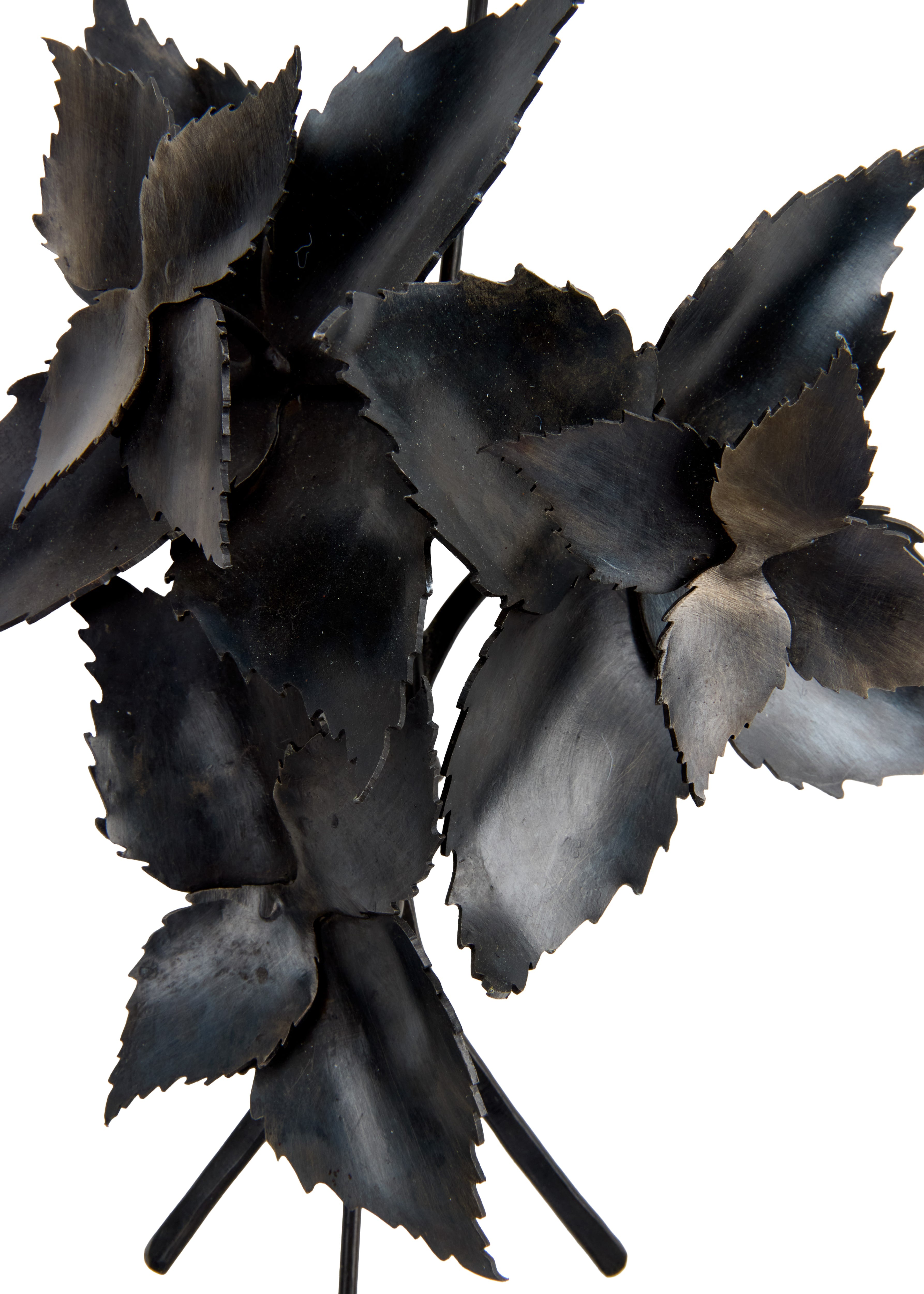 Margaret Jacobs, Bouquets for a New Era: Chicory and Mint (2024)