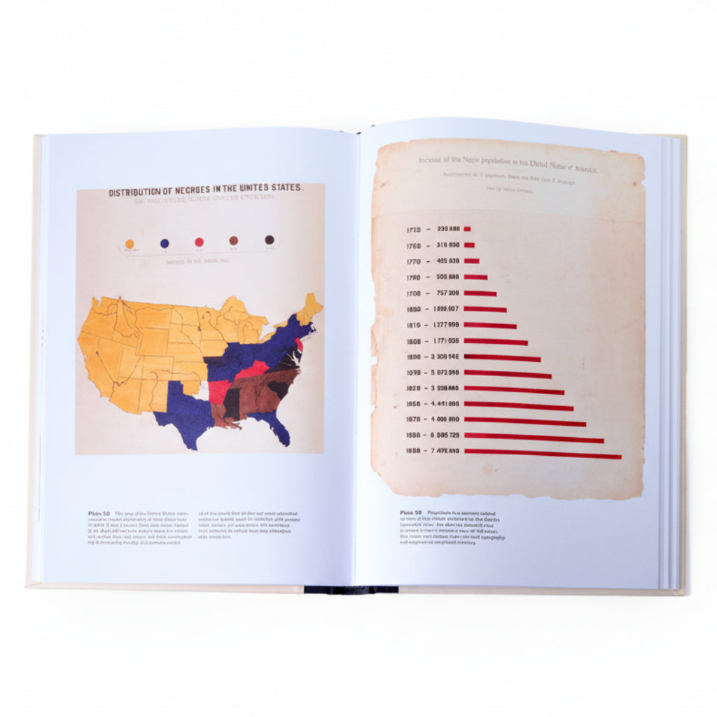 W. E. B. Du Bois's Data Portraits