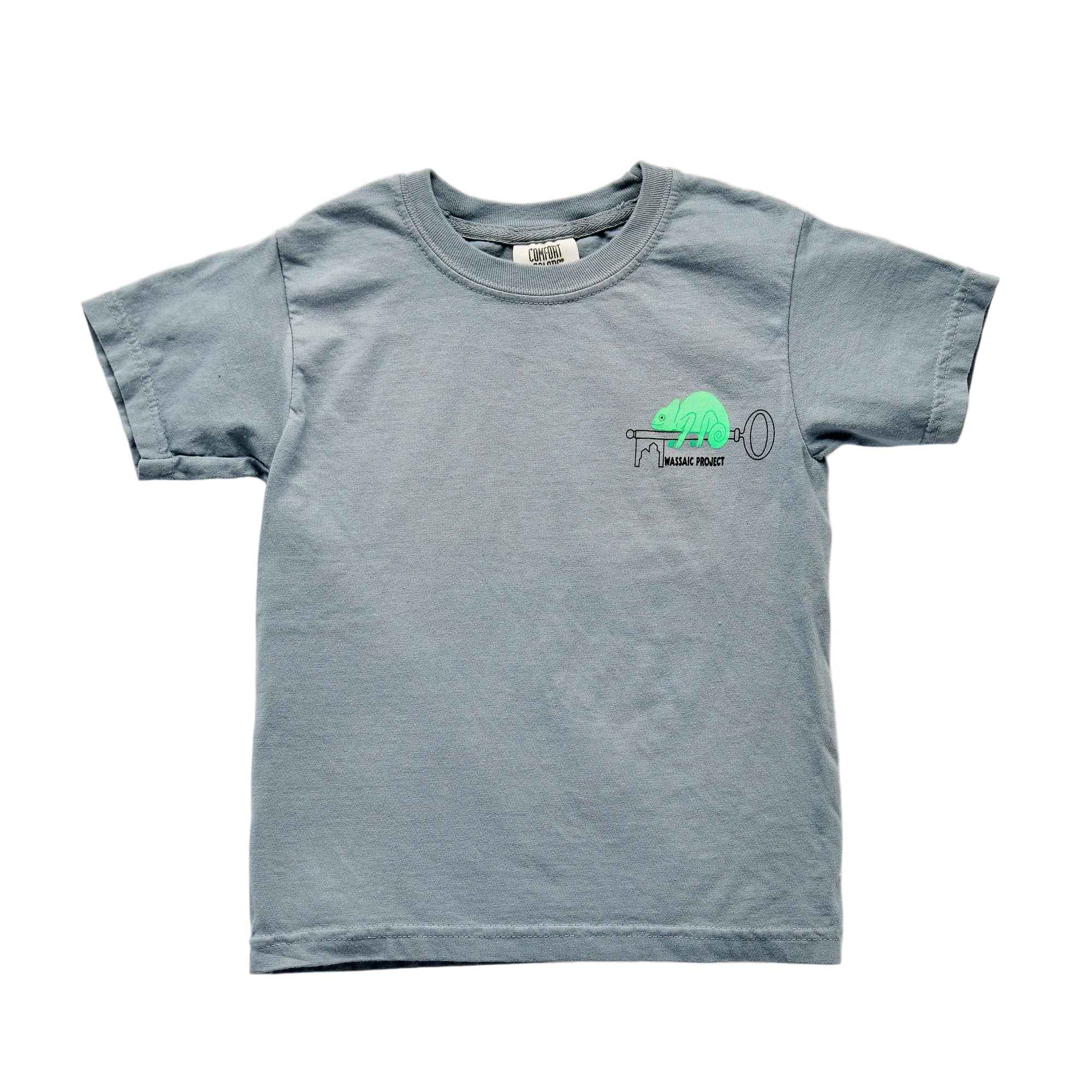 Wassaic Project Kids T-shirt