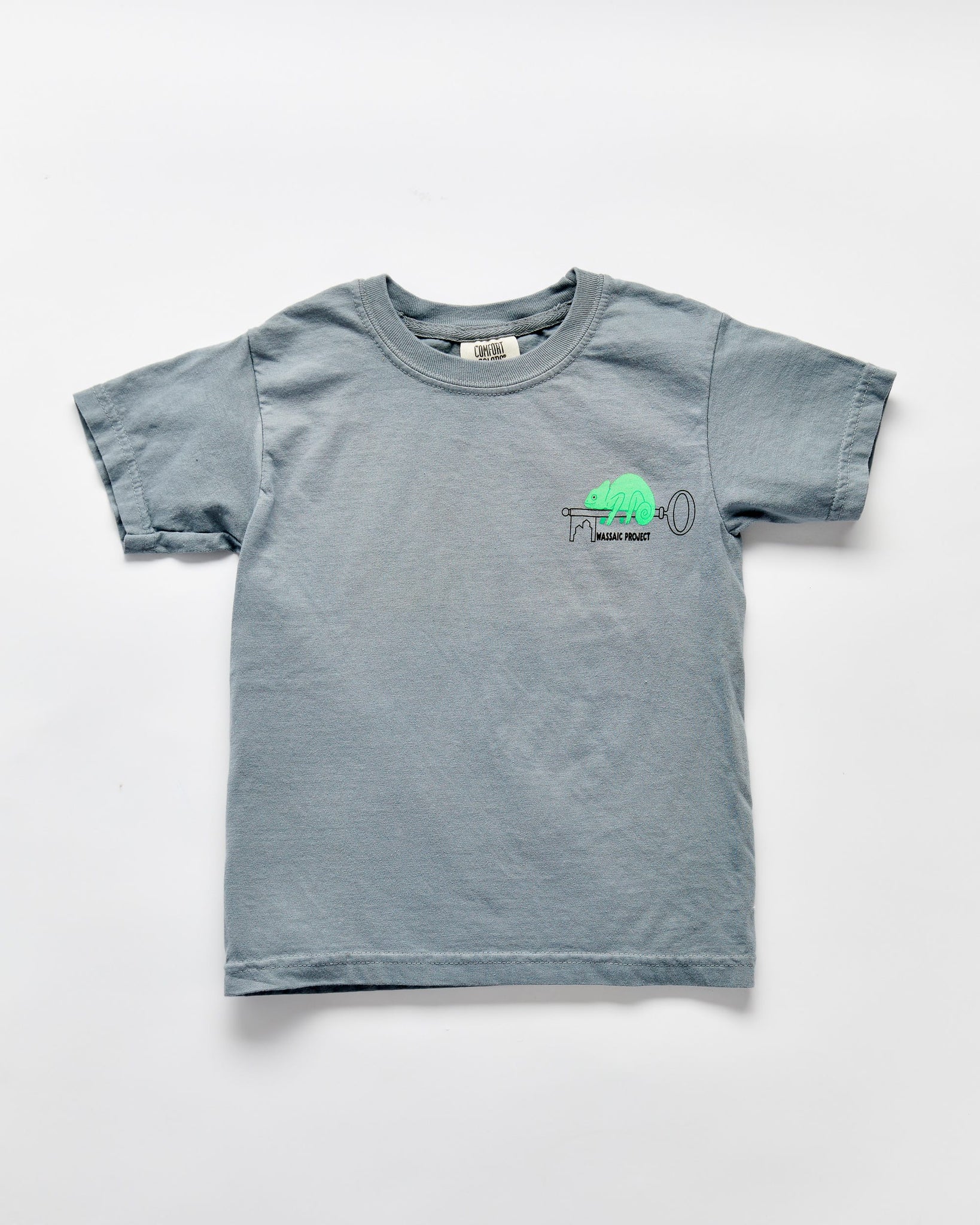 Wassaic Project Kids T-shirt