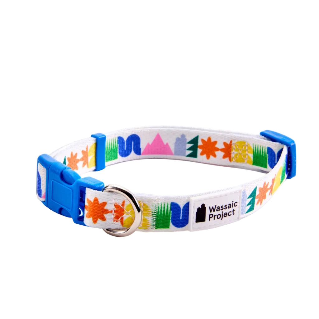 Hello Hamlet Leash and Collar Set