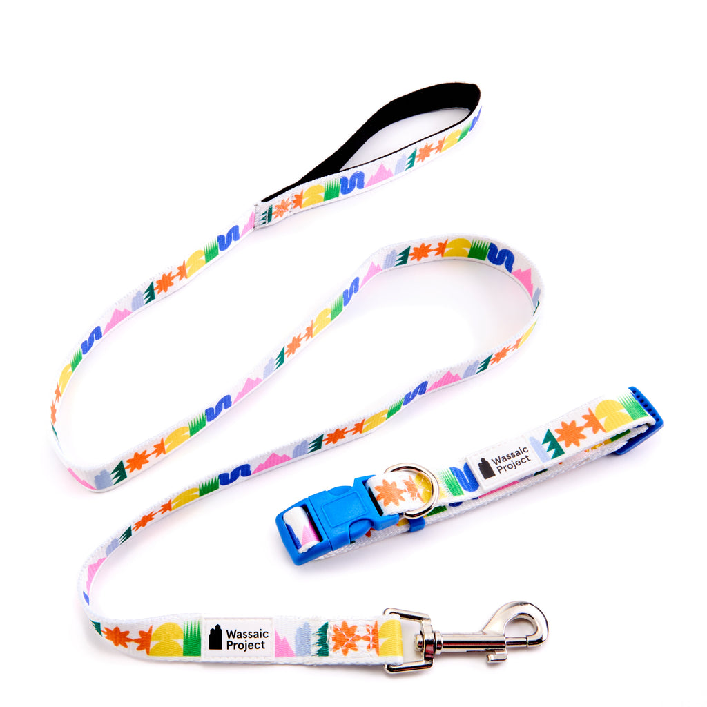 Hello Hamlet Leash and Collar Set