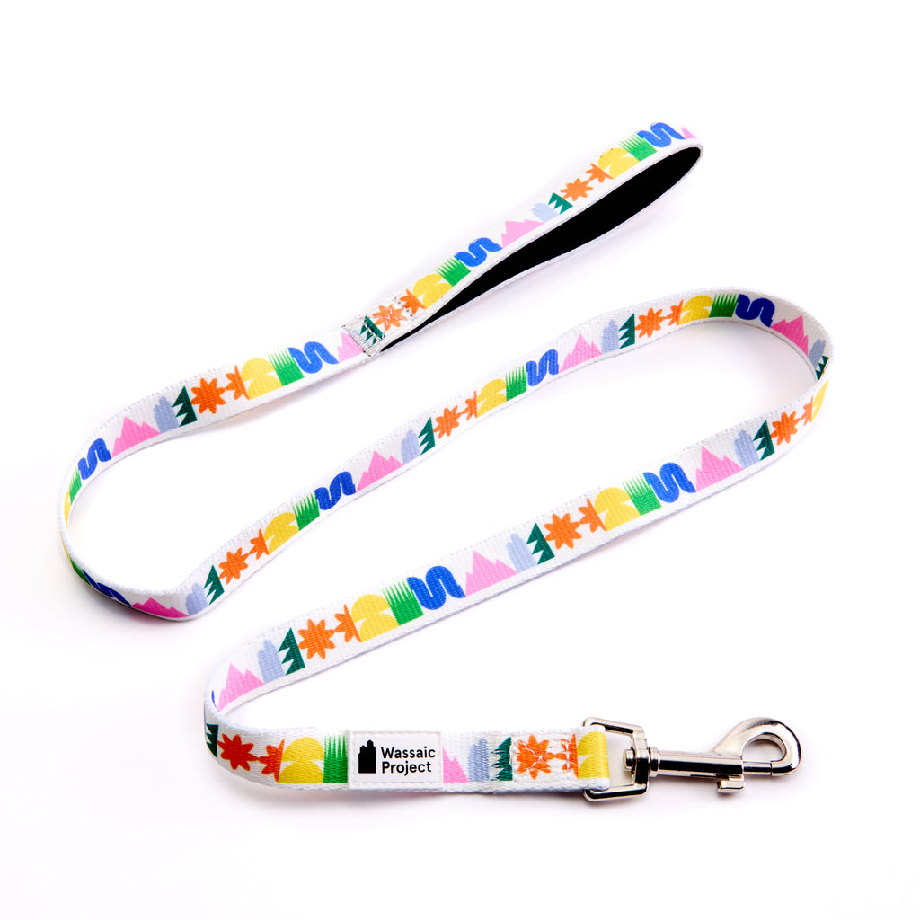 Hello Hamlet Leash and Collar Set
