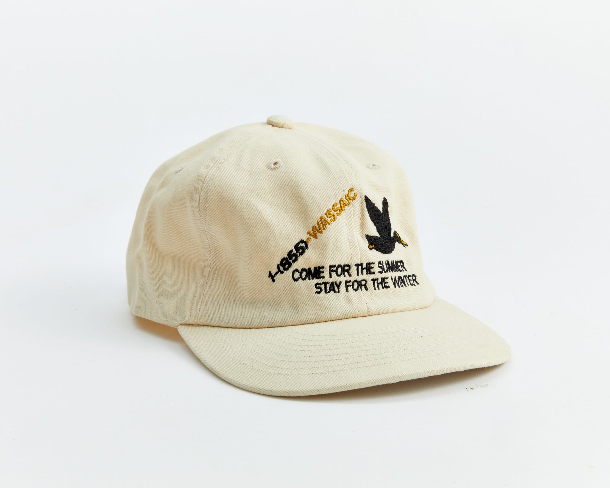 Wassaic Project Dad Hat