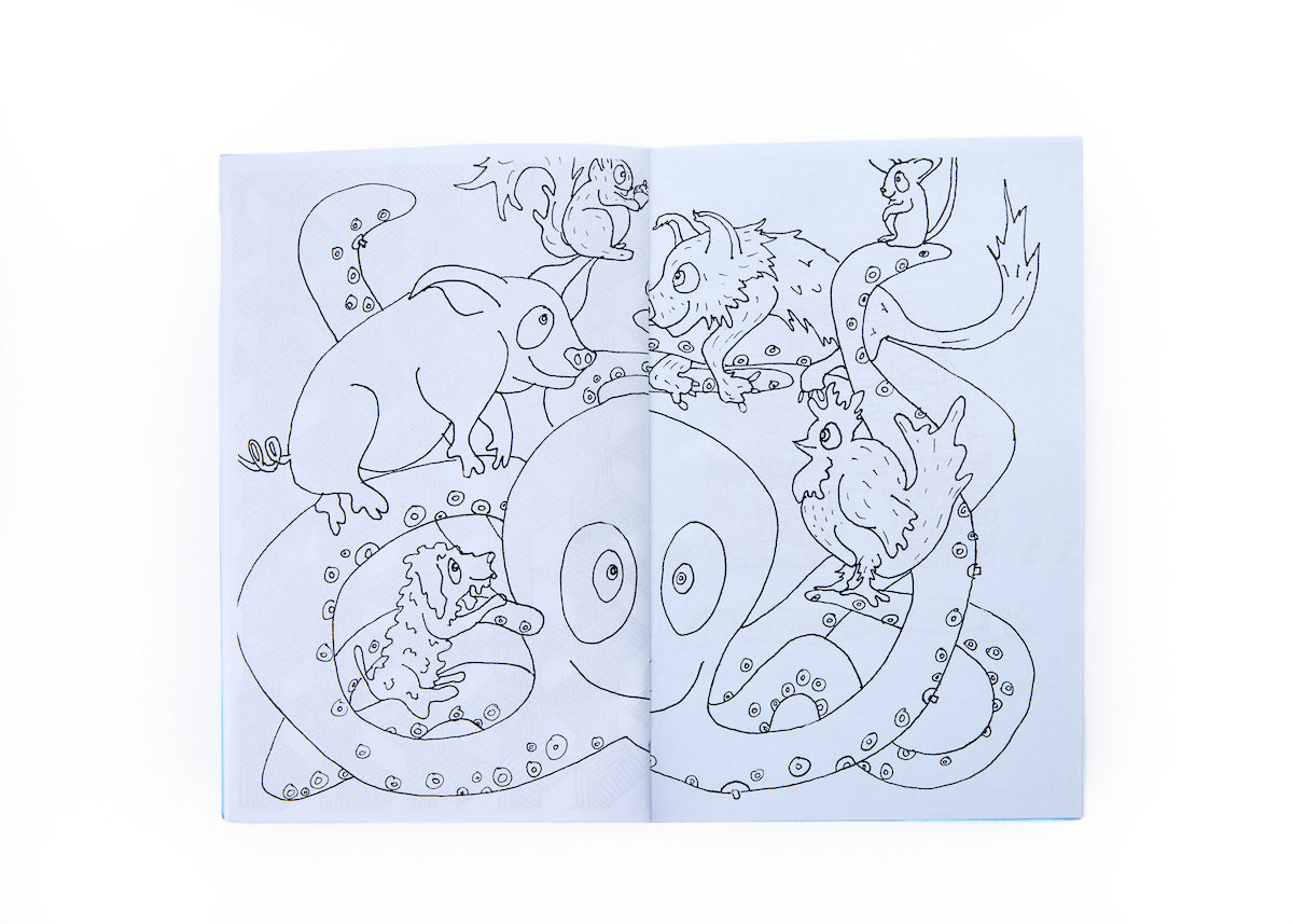 Wassaic Project Coloring Book