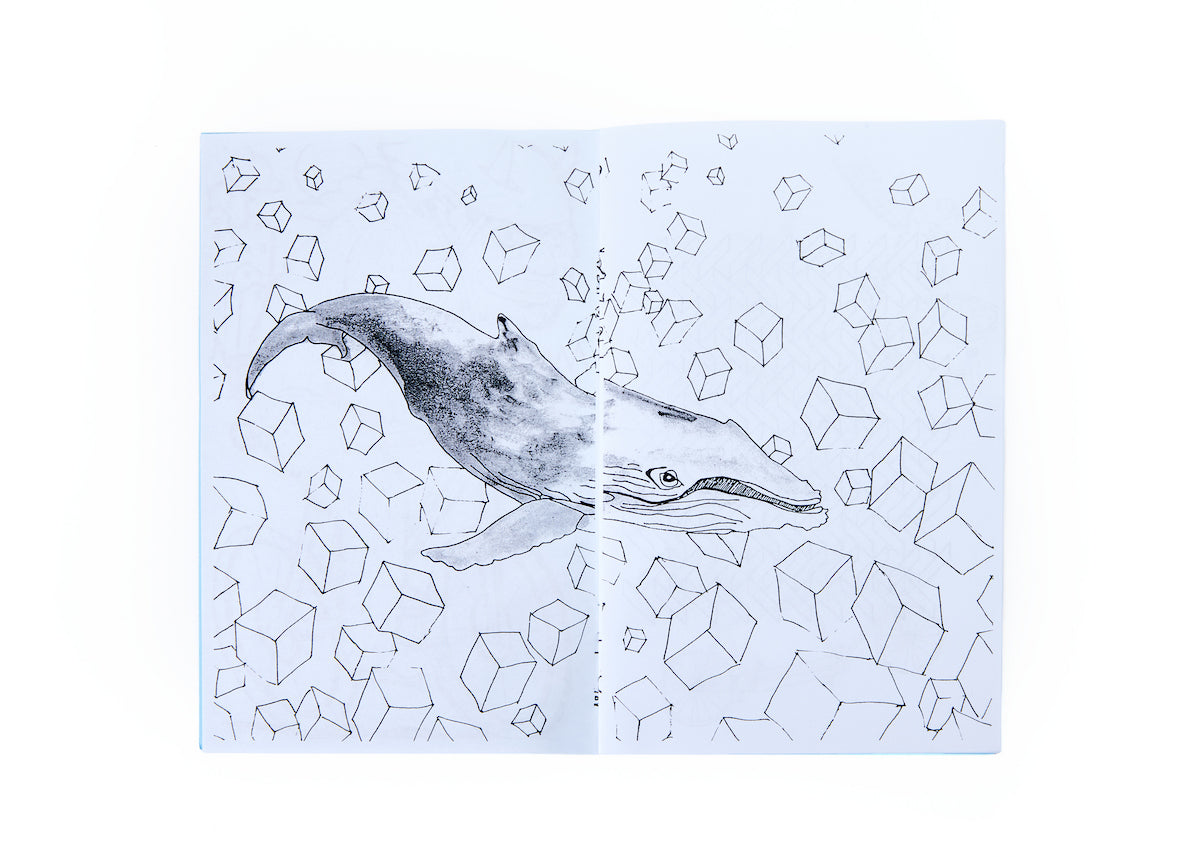 Wassaic Project Coloring Book