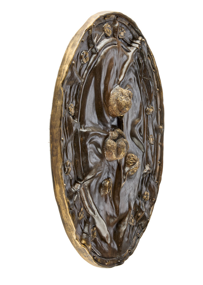 Taha Clayton, <i>Ancestral Alchemy</i> (2024) — <i>Bronze Shield</i>