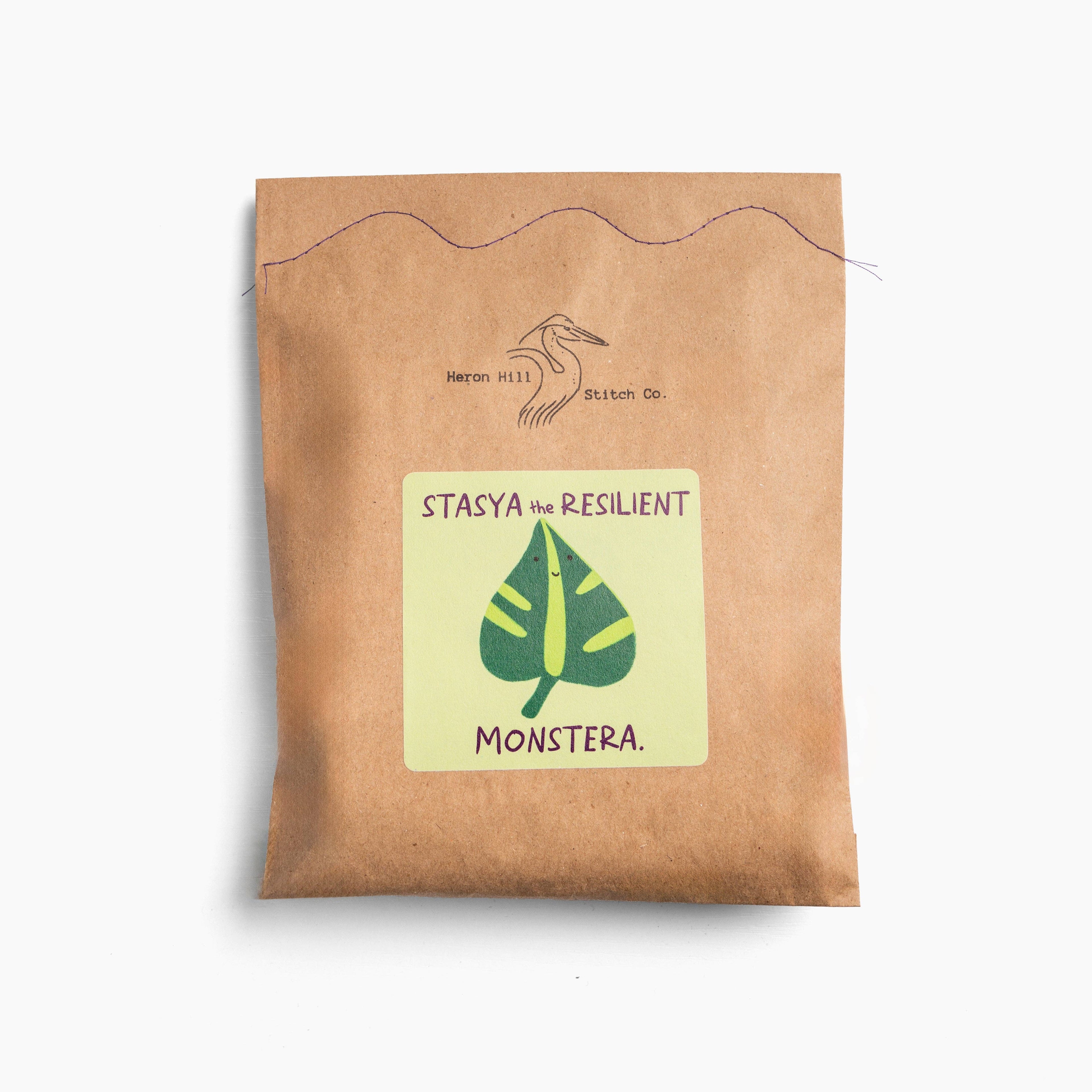 Stasya the Resilient Monstera - DIY Craft Kit