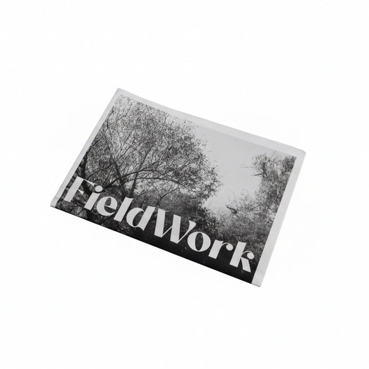 Fieldwork