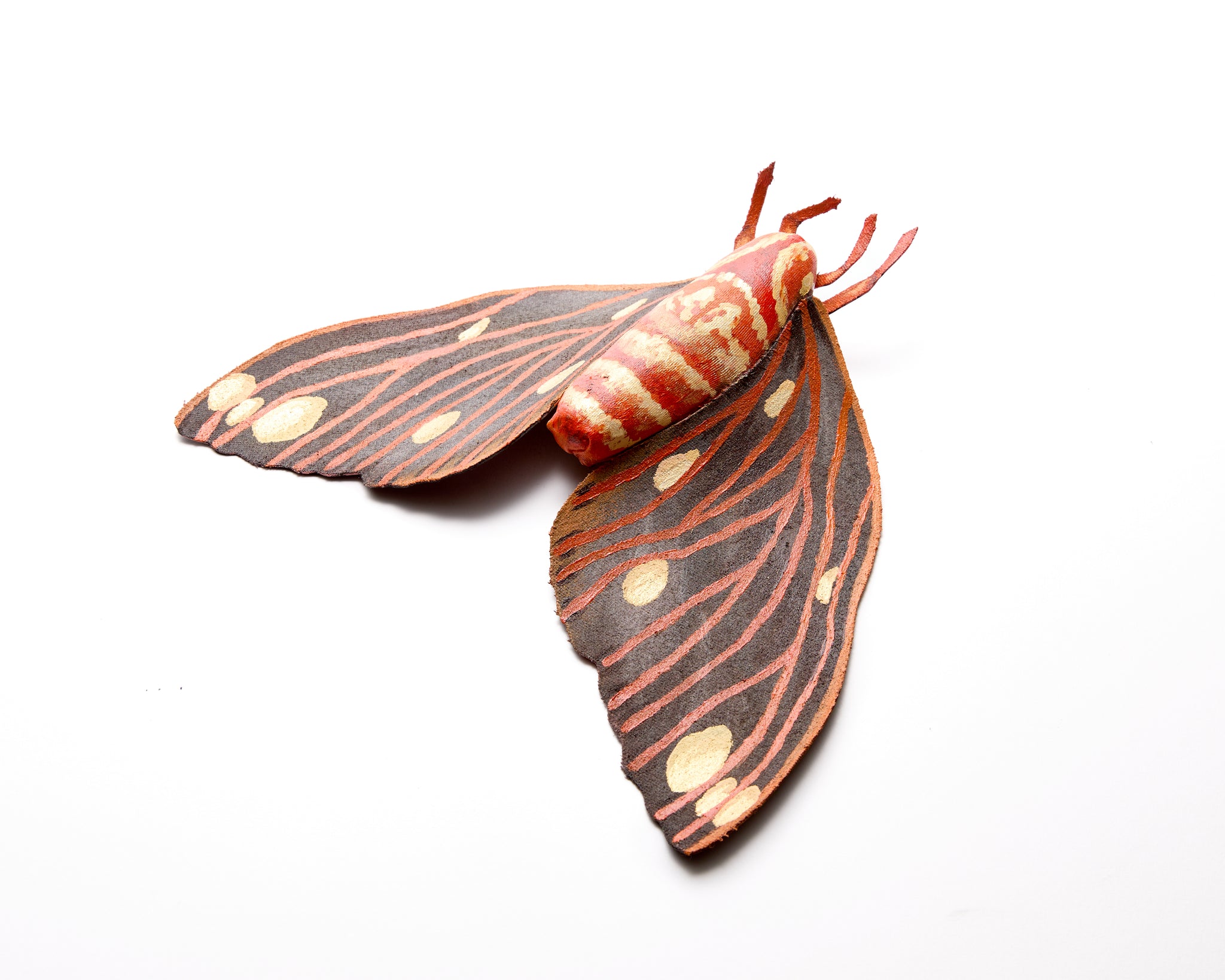 Lia DeFranco, Moth (2024)