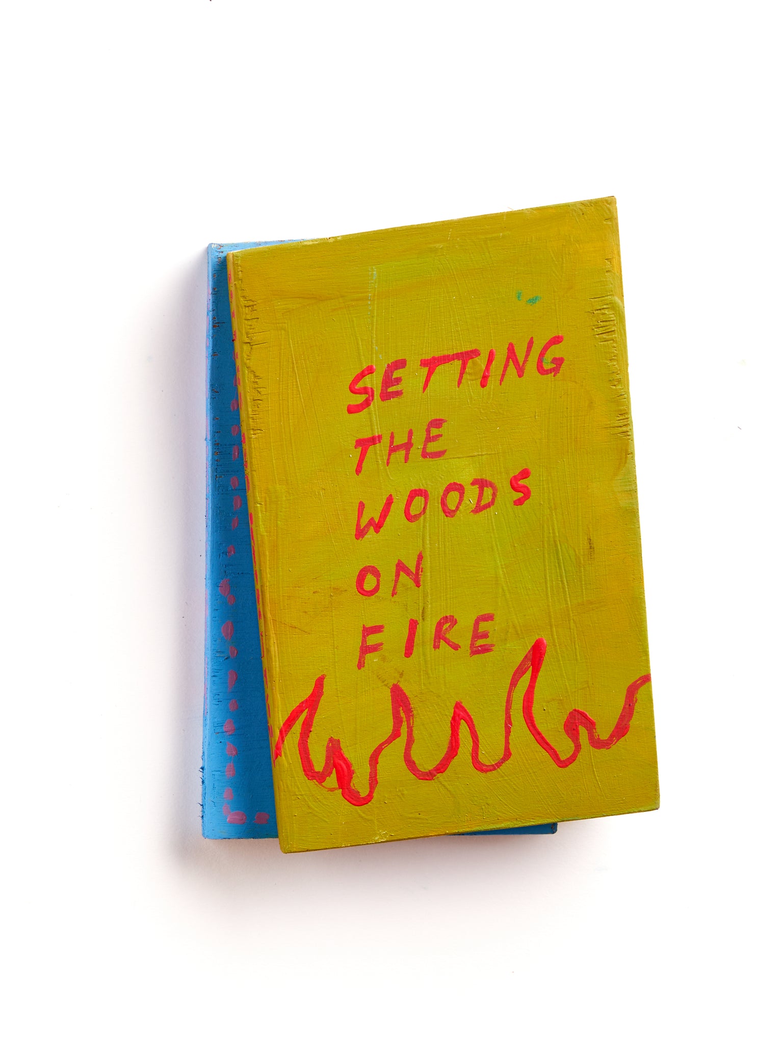 Danielle Klebes, Setting the Woods on Fire (2023)