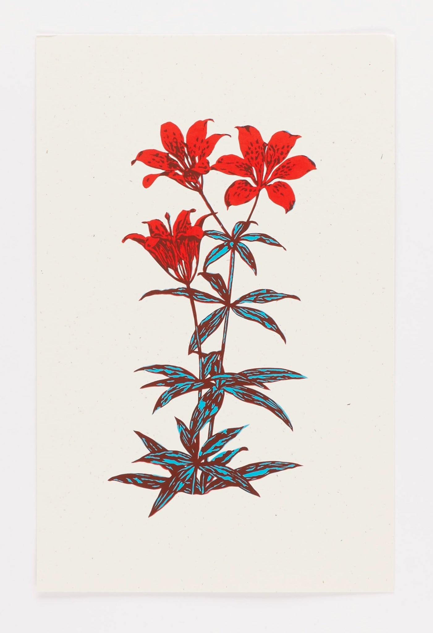 Natalie Woodlock, Woods Lily