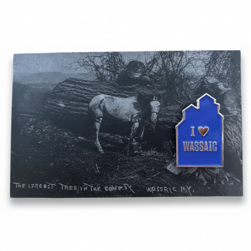 A enamel pin with the text 'I ♥ WASSAIC' on a postcard featuring a vintage photograph of a horse and trees.