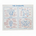 Mark Dion, <i>The Diagrams</i> (2022)