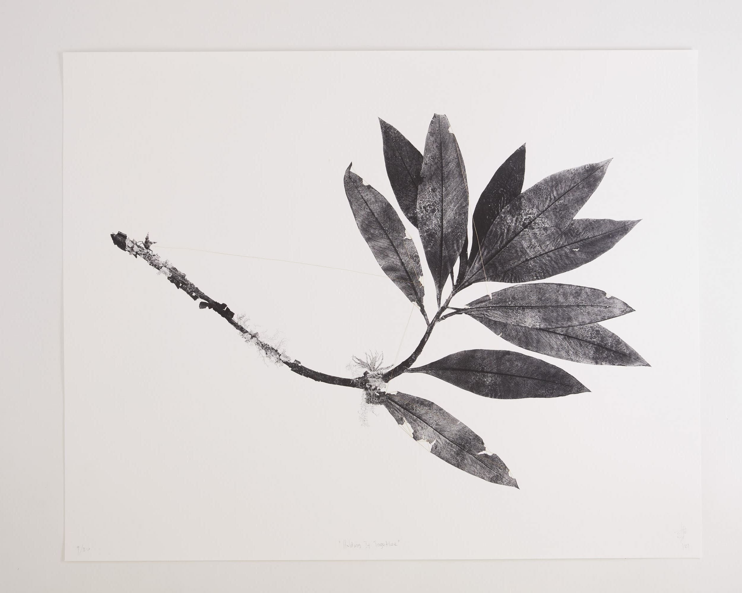 Tatiana Arocha, <i>Holding It Together</i> (2021)