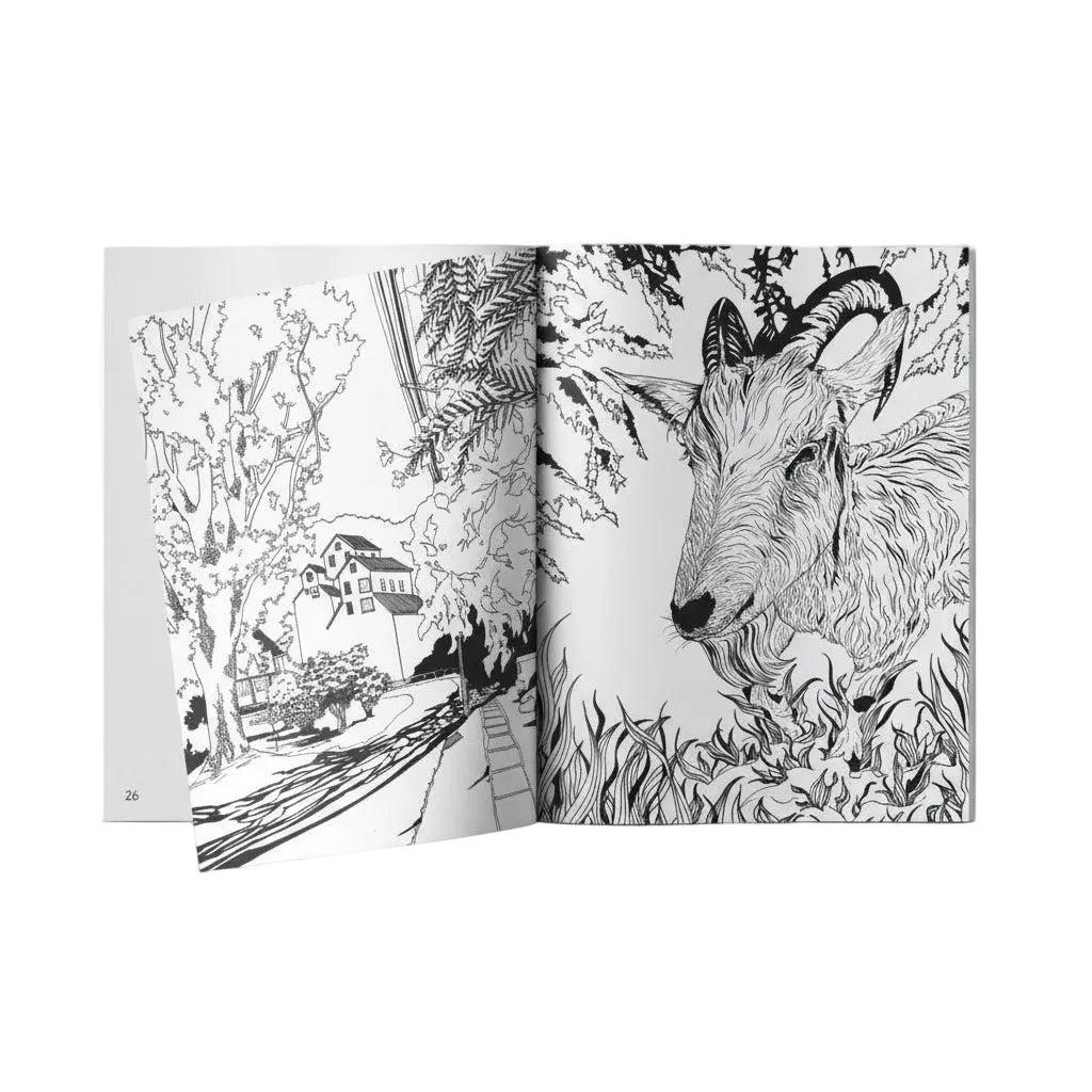 Wassaic Project Art at Home Workbook