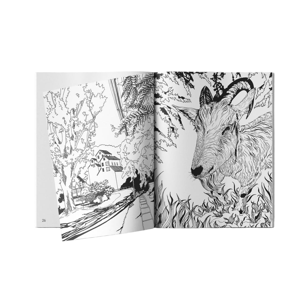 Arte en Casa: Un Libro de Trabajo